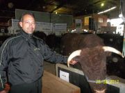 Expointer - Esteio